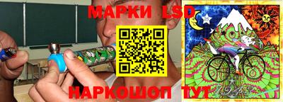 дмт Будённовск