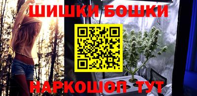 дмт Будённовск