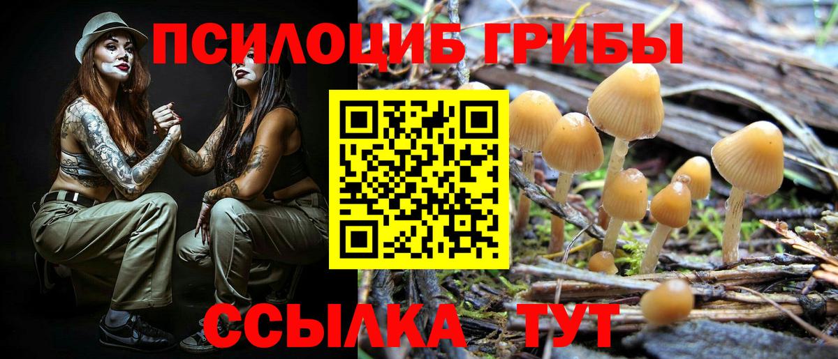 Псилоцибиновые грибы ЛСД Малгобек